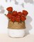 10 Pcs Artificial Silk Rose Flowers with Long Stems(Burnt Orange)